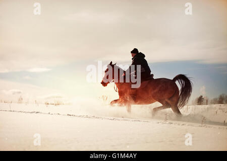 Kaukasischen Mann Reitpferd in Schneelandschaft Stockfoto