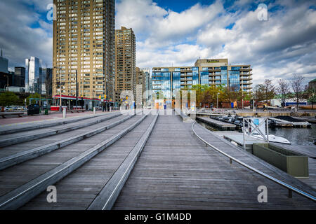 Gebäude an der Harbourfront in Toronto, Ontario. Stockfoto