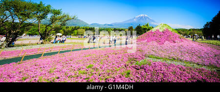 Yamanashi, Japan - 12. Mai 2016: Die Fuji mit dem Bereich der rosa Moos am Shibazakura Festival, Yamanashi, Japan Stockfoto