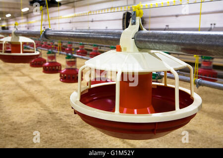 Moderne und neue automatisierte integrierte Geflügelfarm Stockfoto