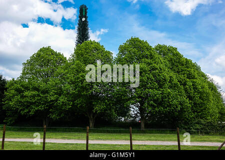 Mikrowelle-Turm verkleidet als ein großer Baum mit grünen Blättern Stockfoto