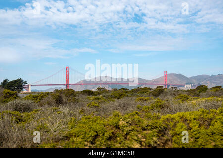 Blick auf die Golden Gate Bridge Crissy Field an einem sonnigen Tag in San Fransisco, Kalifornien, USA Stockfoto