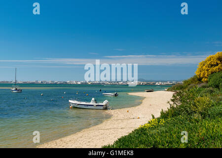 Armona Strand im Frühling, die Ilha de Armona, Olhao, Ost-Algarve, Portugal Stockfoto