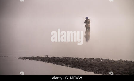 Fischer steht in der Fraser River bei Pappel Bar im Glen Valley in British Columbia, Kanada, an einem nebligen Oktober Morgen Stockfoto