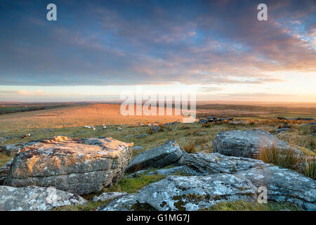 Ein Blick über die weiten, offenen Raum des Bodmin Moor von Alex Tor in der Nähe von St Breward in Cornwall Stockfoto