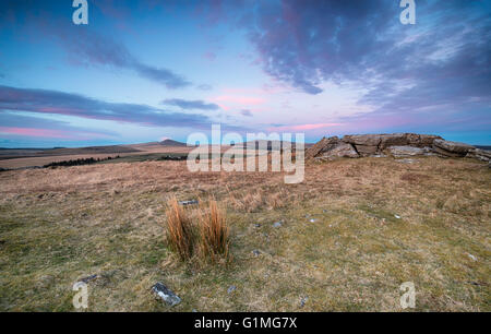 Große offene Heidelandschaft auf Bodmin Moor in Cornwall, mit Blick auf die Gipfel des Roughtor und Brown Willy in weiter Ferne Stockfoto