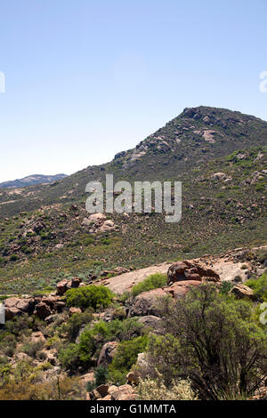 Northern Cape Gelände Namaqualand - Südafrika Stockfoto