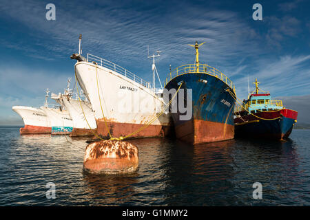 Boote aller Altersstufen gebunden an einen rostigen Boje.  Hafen Suva, Fidschi Stockfoto