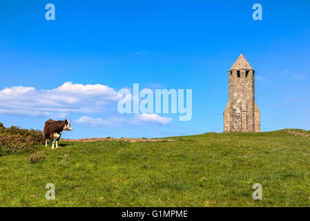 St. Katharinen Oratorium, Isle Of Wight, Hampshire, England, Vereinigtes Königreich Stockfoto