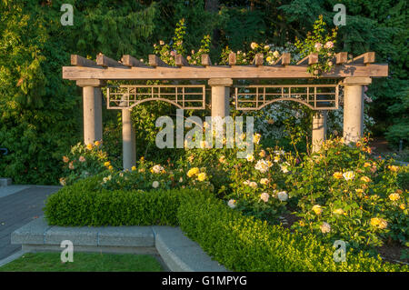 Der Rosengarten, UBC, Vancouver, Britisch-Kolumbien, Kanada Stockfoto