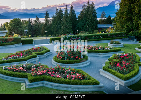 Der Rosengarten, Universität von BC, Vancouver, Britisch-Kolumbien, Kanada Stockfoto