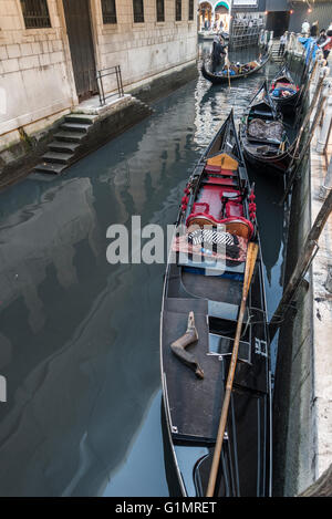 Gondeln in einem Kanal hinter der Piazza San Marco Stockfoto