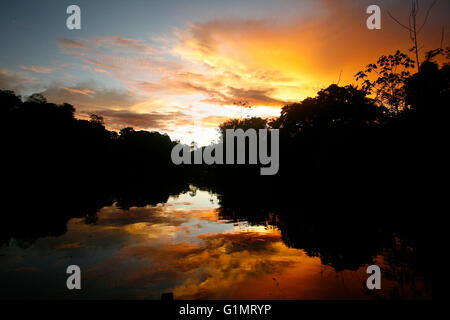 Rio Yavari. Amazonas, Peru Stockfoto