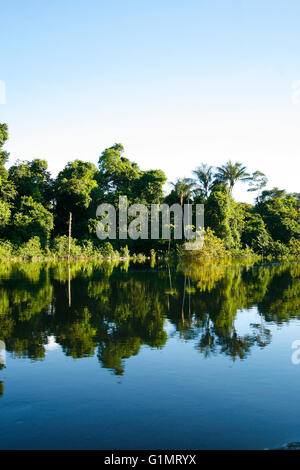 Rio Yavari. Amazonas, Peru Stockfoto