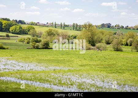 Wasser-Wiesen im Windrush Tal in der Nähe von Cotswold Stadt Burford, Oxfordshire, England, UK Stockfoto