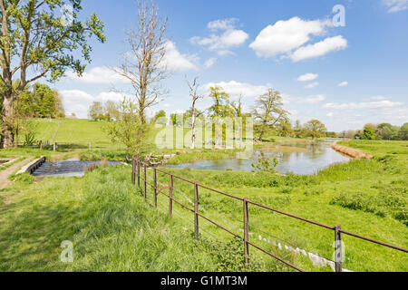 Wasser-Wiesen im Windrush Tal in der Nähe von Cotswold Stadt Burford, Oxfordshire, England, UK Stockfoto
