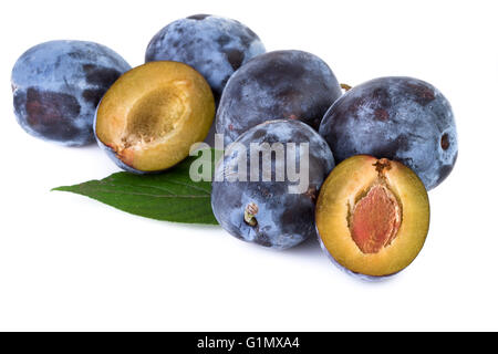 Bio Pflaumen mit Blättern isoliert auf weißem Hintergrund. Closeup. Stockfoto