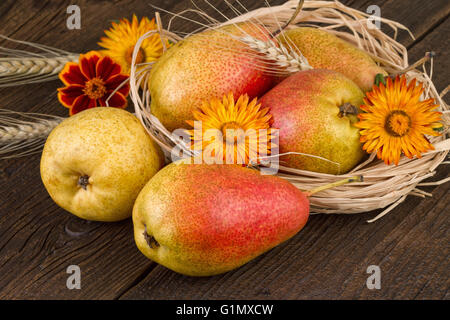 Birnen mit getrockneten Stroh und Weizen auf alten Holztisch eingerichtet. Stockfoto