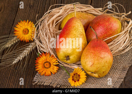 Reife Birnen im Herbst Zusammensetzung auf Jute Hintergrund. Stockfoto