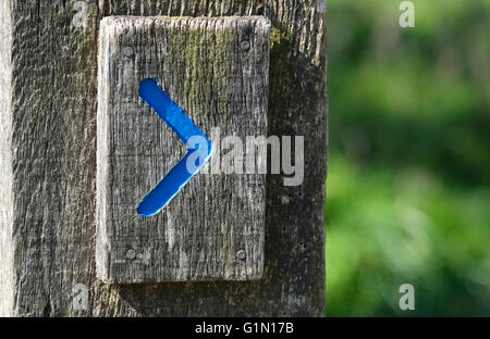 blauen Wanderweg Richtungspfeil auf alten Holz-post Stockfoto