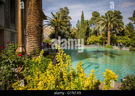 Eram Garten ein beliebtes Ferienziel in Shiraz, Iran Stockfoto