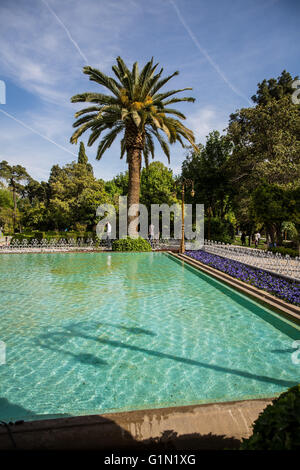 Eram Garten ein beliebtes Ferienziel in Shiraz, Iran Stockfoto