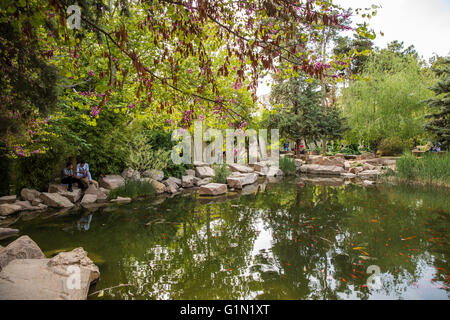 Eram Garten ein beliebtes Ferienziel in Shiraz, Iran Stockfoto