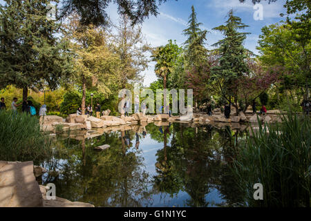 Eram Garten ein beliebtes Ferienziel in Shiraz, Iran Stockfoto