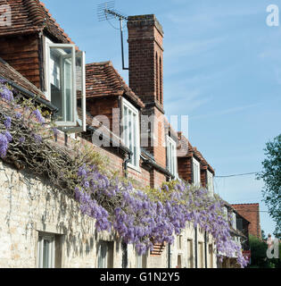 Glyzinien der Vorderseite der Häuser in Dorchester on Thames, Oxfordshire, England Stockfoto