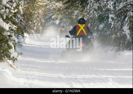 Schneemobilfahrer auf einem Trail in Nord Ontario Kanada Stockfoto