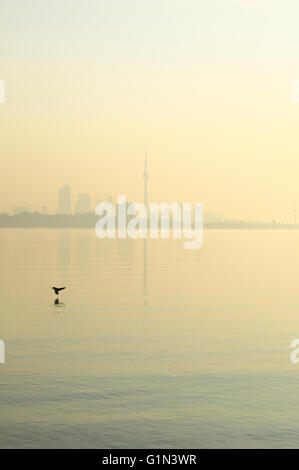 Sonnenaufgang am Lake Ontario in Toronto Ontario Kanada Stockfoto