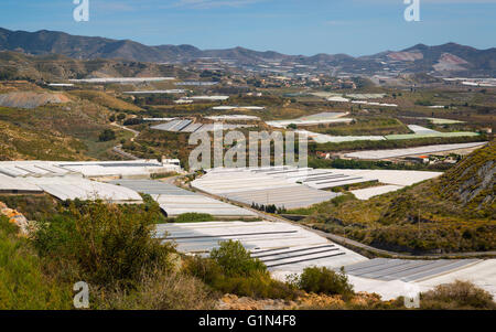 Provinz Granada, Andalusien, Südspanien.  Landwirtschaft.  Landwirtschaft unter Kunststoff Gewächshäuser in der Nähe von Velez de Benaudalla. Stockfoto