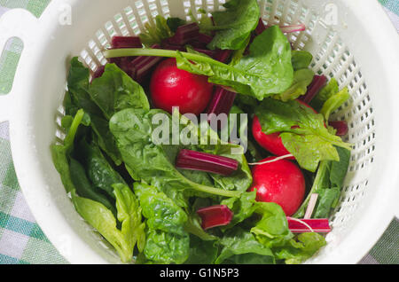 frischem Frühlingsgemüse in Sieb Stockfoto