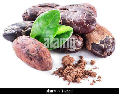 Kakaobohnen isoliert auf einem weißen Hintergrund. Stockfoto