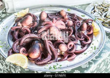 Gegrillter Tintenfisch. Traditionelle mediterrane Gerichte. Stockfoto