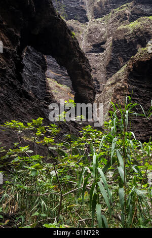 Felsformationen in Masca Barranco, Teneriffa, Kanarische Inseln, Spanien. Stockfoto