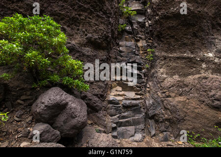 Felsformationen in Masca Barranco, Teneriffa, Kanarische Inseln, Spanien. Stockfoto