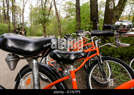 Orange Fahrräder hintereinander geparkt im Wald Stockfoto