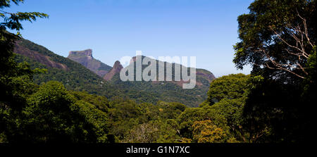 Pedra da Gavea Berg gesehen von The Tijuca Forest (Floresta da Tijuca in portugiesischer Sprache), einer bergigen Hand gepflanzt Regenwald in der Stadt Rio De Janeiro, Brasilien - es ist ein UNESCO-Weltkulturerbe und der weltweit größten Stadtwald, über einige 32 km ² (12,4 mi²) - der Tijuca Wald ist Heimat für Hunderte von Arten von Flora und Fauna, viele vom Aussterben bedroht , und fand nur im Atlantischen Regenwald (Mata Atlantica in portugiesischer Sprache). Die Vegetation ist so dicht, dass Wissenschaftler haben schätzungsweise Umgebungstemperaturen in der Umgebung von bis zu 9 ° c gesenkt haben Stockfoto