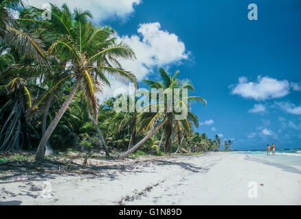 Kokospalmen säumen weißen Sandstrand in Moran Point, Jamaika, WI. Stockfoto