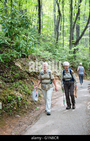 Great-Smoky-Mountains-Nationalpark, Tennessee - Senioren Freiwilligen Abholung Wurf auf dem Laurel fällt weg. Stockfoto