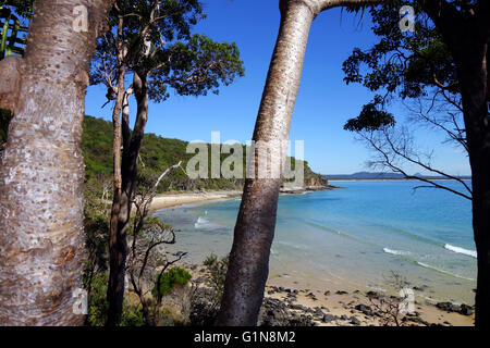 Ruhiger Morgen um Granite Bay, Noosa National Park, Noosa Shire, Sunshine Coast, Queensland, Australien Stockfoto