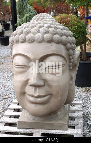 Buddha Kopf Gartenstatue in einem Garten Baumschule, Melbourne Victoria Australien Stockfoto