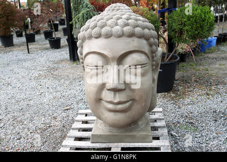 Buddha Kopf Gartenstatue in einem Garten Baumschule, Melbourne Victoria Australien Stockfoto