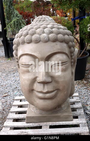Buddha Kopf Gartenstatue in einem Garten Baumschule, Melbourne Victoria Australien Stockfoto