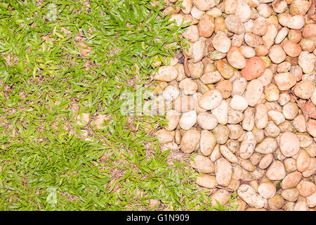 Kieselsteine mit grünen Rasen Textur für Hintergrund Stockfoto