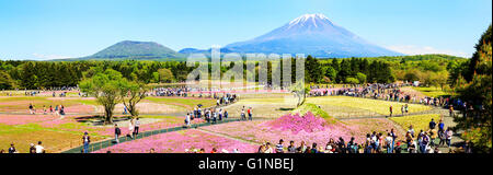 Yamanashi, Japan - 12. Mai 2016: Die Fuji mit dem Bereich der rosa Moos am Shibazakura Festival, Yamanashi, Japan Stockfoto