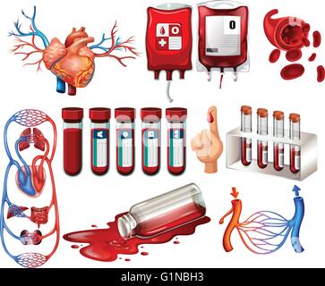 Menschliches Blut und Organe Abbildung Stock Vektor
