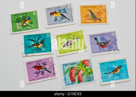 UZHGOROD, UKRAINE - ca. Mai 2016: Sammlung von Briefmarken gedruckt in Vietnam zeigt die verschiedenen Arten der Vögel, ca. Stockfoto