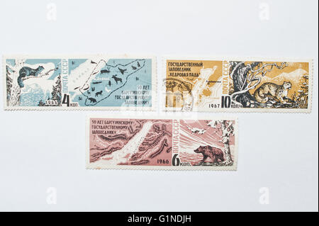 UZHGOROD, UKRAINE - ca. Mai 2016: Sammlung von Briefmarken gedruckt in der UdSSR zeigt Bargusin Naturschutzgebiet, ca. 1966 Stockfoto